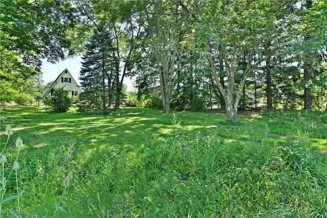 4366 Greenville Rd, Cortland, OH 44417 - photo 25