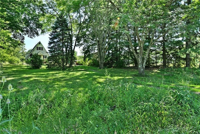 4366 Greenville Rd, Cortland, OH 44417 - photo 26