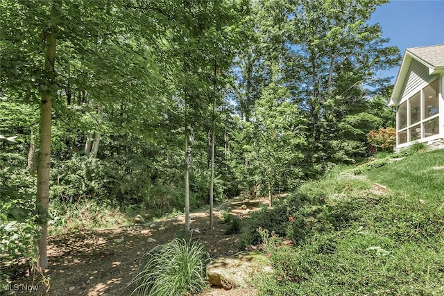 7499 Creekview Trl, Chagrin Falls, OH 44023 - photo 46