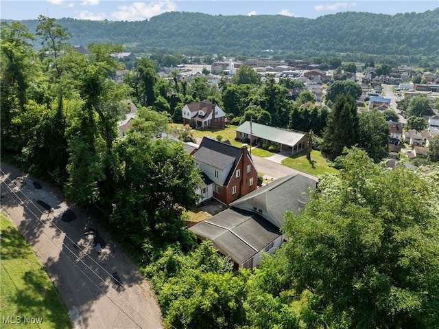 113 N 10th St, Martins Ferry, OH 43935 - photo 35