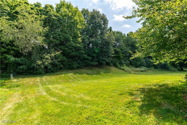 4938 Brower Tree Ln, Kent, OH 44240 - photo 44