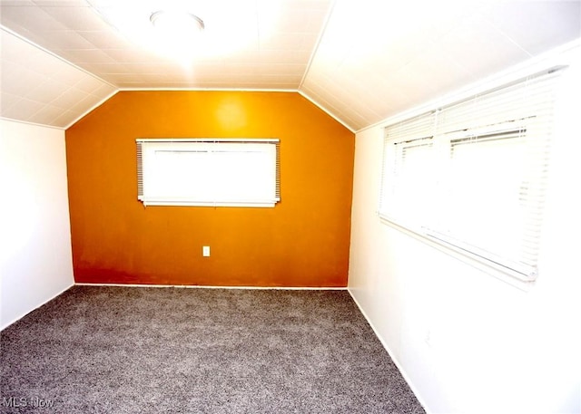 1728 Hillview, Cleveland, OH 44112 - photo 15