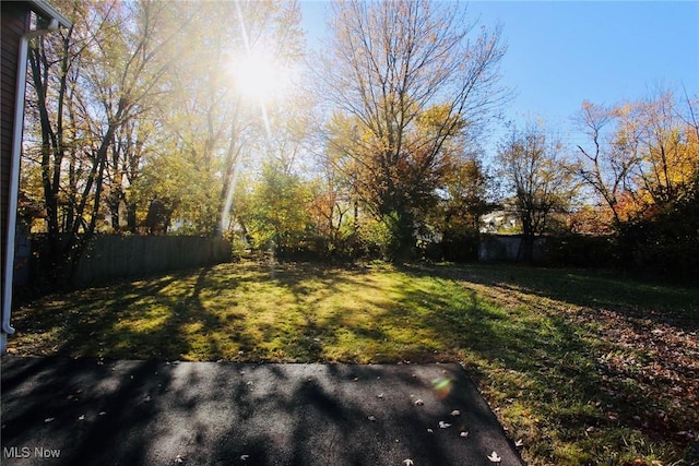 1728 Hillview, Cleveland, OH 44112 - photo 2