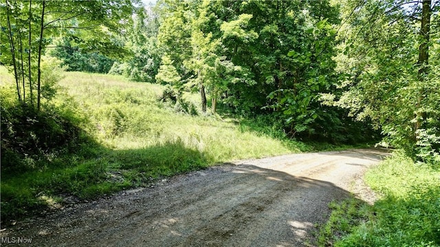 Township Road 91, Killbuck, OH 44637 - photo 17
