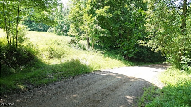 Township Road 91, Killbuck, OH 44637 - photo 18