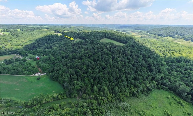 Township Road 91, Killbuck, OH 44637 - photo 20