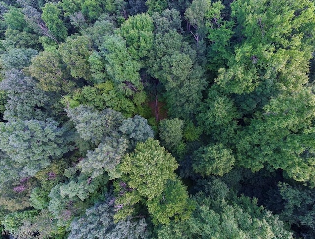 Township Road 91, Killbuck, OH 44637 - photo 10