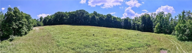 Township Road 91, Killbuck, OH 44637 - photo 13