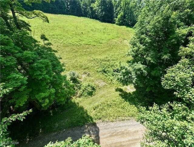Township Road 91, Killbuck, OH 44637 - photo 15
