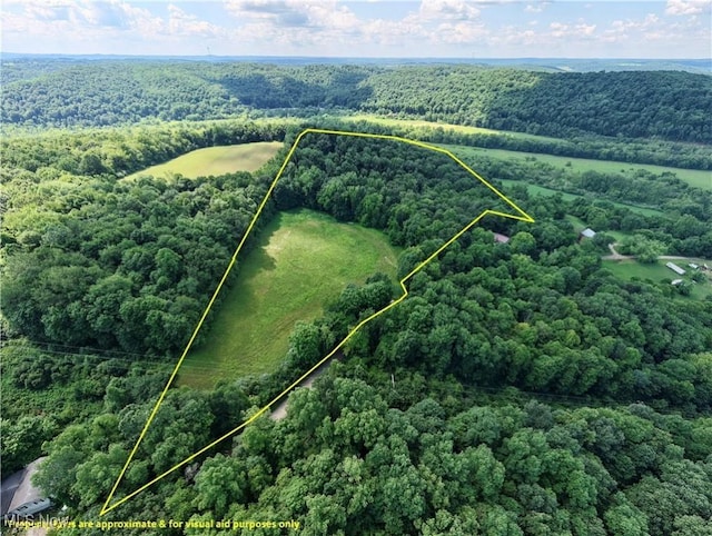 Township Road 91, Killbuck, OH 44637 - photo 1