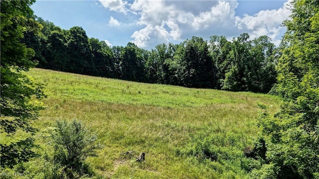 Township Road 91, Killbuck, OH 44637 - photo 3
