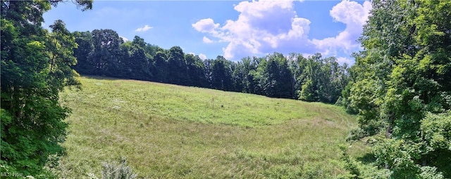 Township Road 91, Killbuck, OH 44637 - photo 4