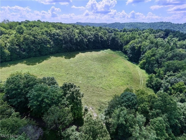 Township Road 91, Killbuck, OH 44637 - photo 5