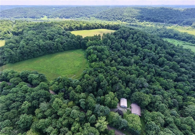 Township Road 91, Killbuck, OH 44637 - photo 6