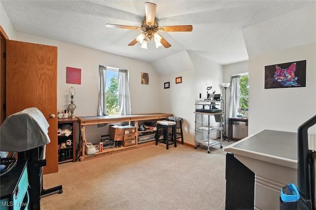 2745 Footville Richmond Rd E, Rock Creek, OH 44084 - photo 20