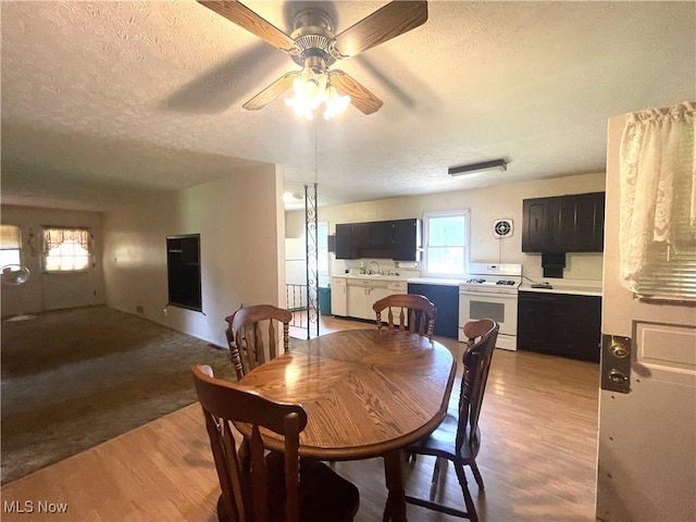 4404 Deerwalk Hwy, Waverly, WV 26184 - photo 5