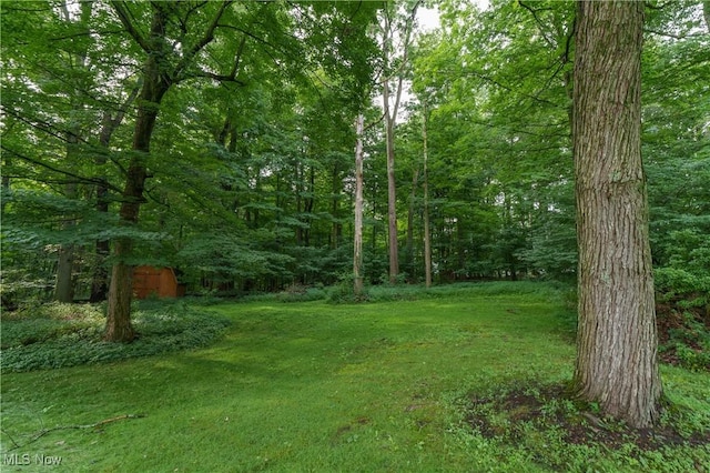 11904 Lochwood St SW, Massillon, OH 44647 - photo 11