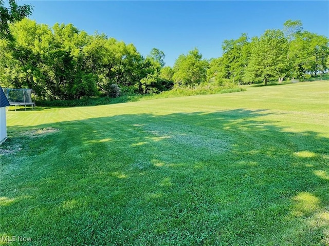 435 Township Road 378, Steubenville, OH 43952 - photo 4