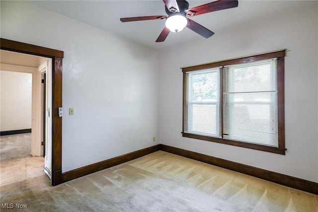 3843 Burkey Rd, Youngstown, OH 44515 - photo 7