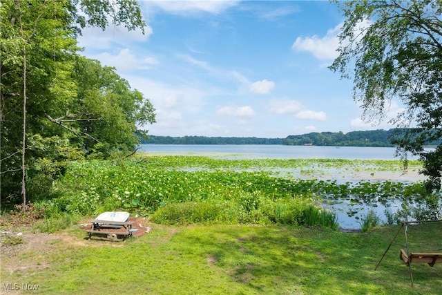 5817 Spikerman Dr, Clinton, OH 44216 - photo 46