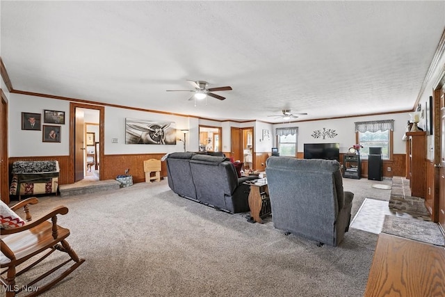 6645 Summit Rd, Canfield, OH 44406 - photo 10