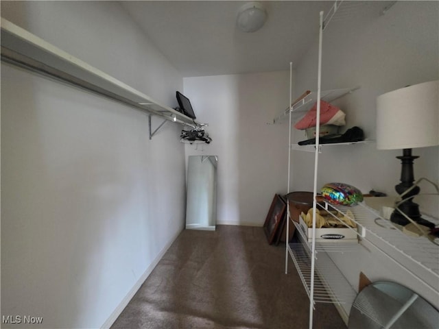 22262 River Walk Rd, Rocky River, OH 44116 - photo 13