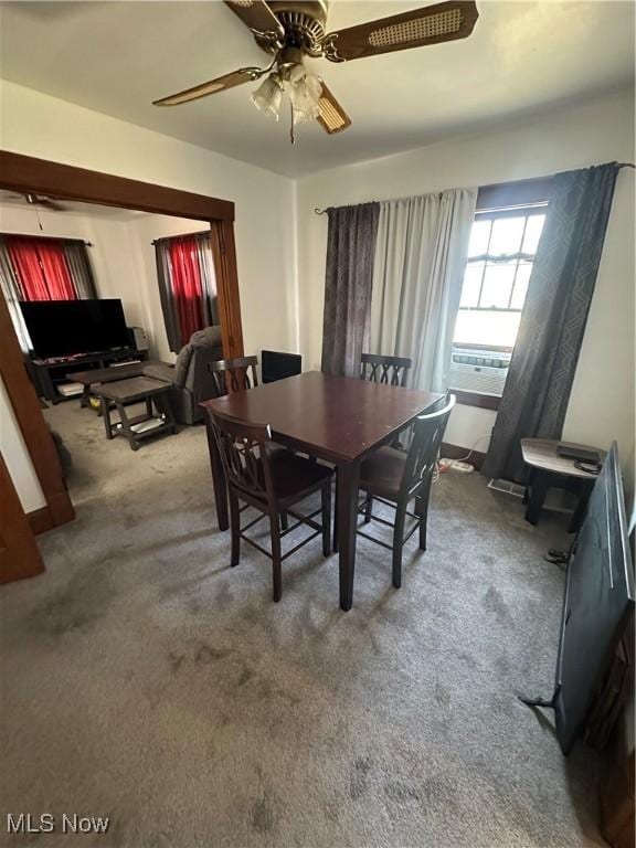 175 N Hartford Ave, Youngstown, OH 44509 - photo 13