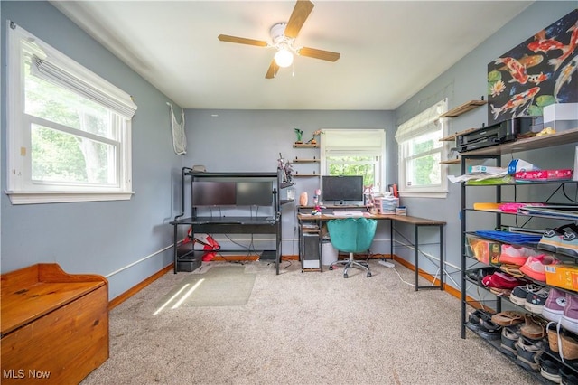 422 Ferncliff Ave, Poland, OH 44514 - photo 23
