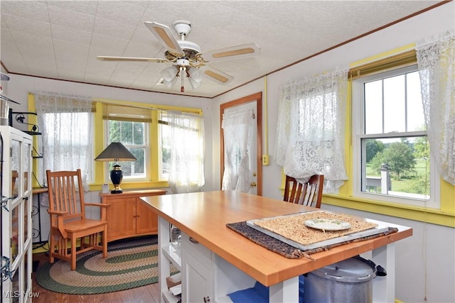 5161 State Route 516 NW, Dover, OH 44622 - photo 22