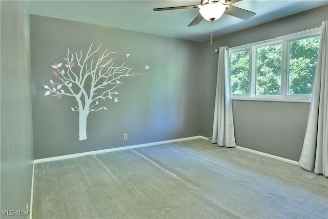 3120 Meadow Ln NE, Warren, OH 44483 - photo 28
