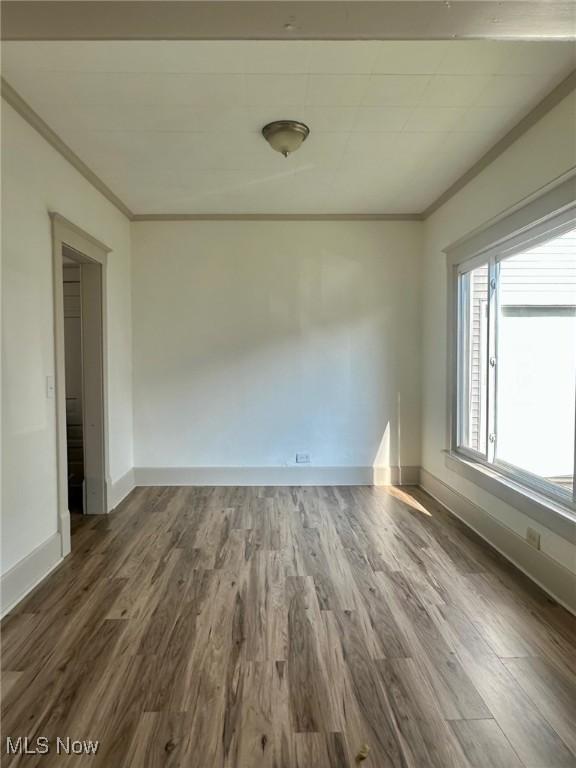 300 Dorchester St, Ashland, OH 44805 - photo 4