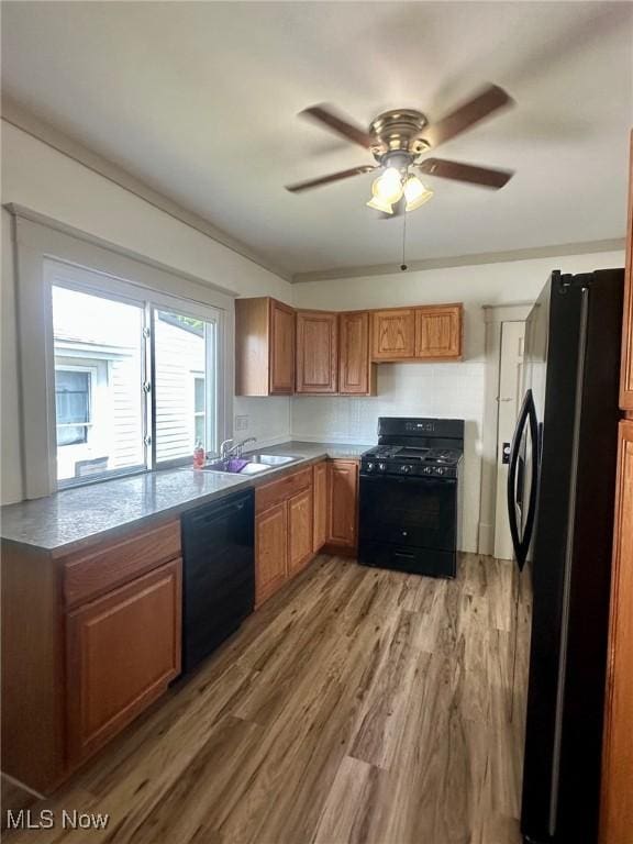 300 Dorchester St, Ashland, OH 44805 - photo 10