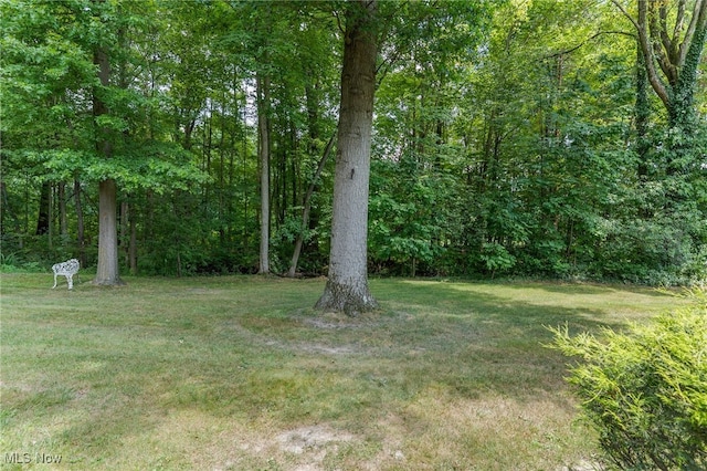 6723 Lockwood Blvd Unit 4, Boardman, OH 44512 - photo 35