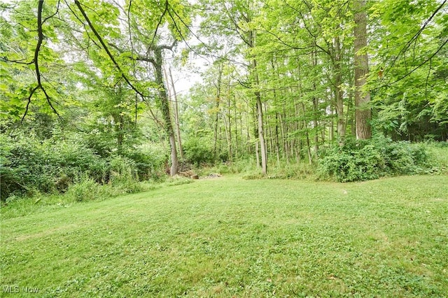2835 Sunnybrook Rd, Mogadore, OH 44260 - photo 21