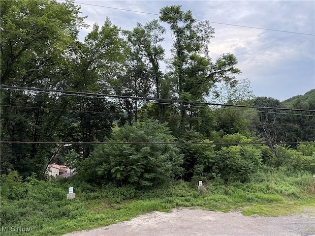 120 Wall St, Weirton, WV 26062 - photo 22