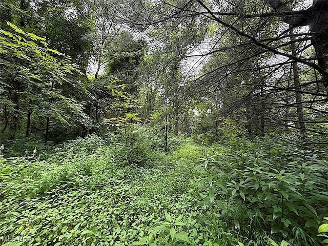 0 Paw Paw Rd, Lower Salem, OH 45745 - photo 2