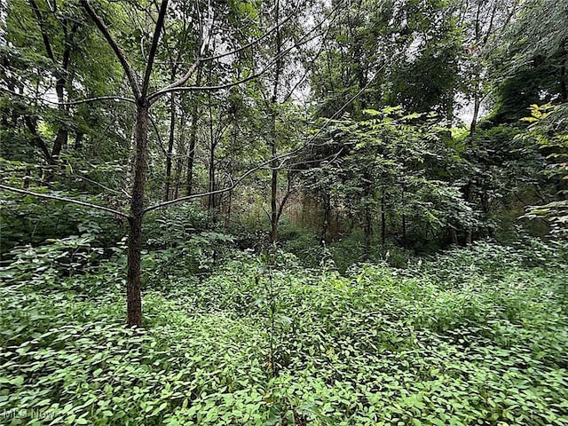 0 Paw Paw Rd, Lower Salem, OH 45745 - photo 3