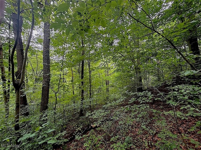 0 Paw Paw Rd, Lower Salem, OH 45745 - photo 7