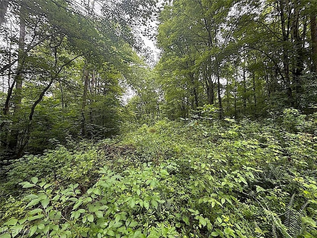 0 Paw Paw Rd, Lower Salem, OH 45745 - photo 8