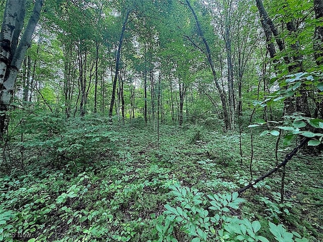 0 Paw Paw Rd, Lower Salem, OH 45745 - photo 9