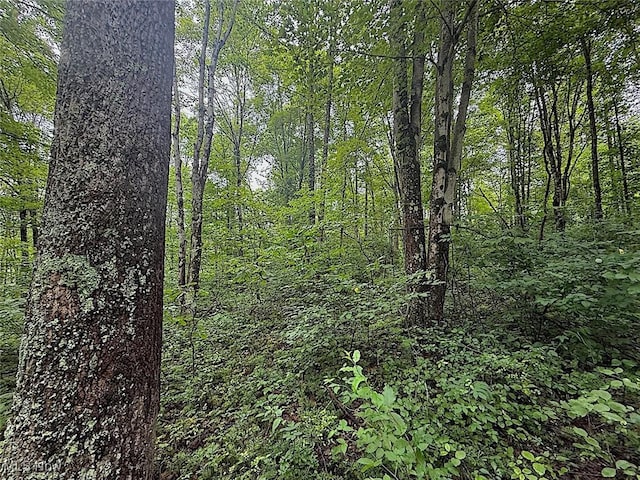 0 Paw Paw Rd, Lower Salem, OH 45745 - photo 10