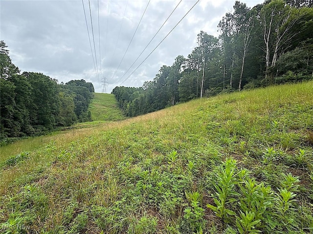 0 Paw Paw Rd, Lower Salem, OH 45745 - photo 11