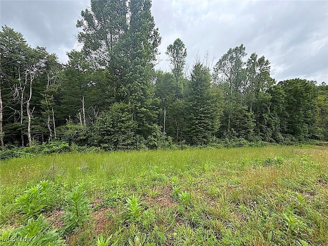 0 Paw Paw Rd, Lower Salem, OH 45745 - photo 12