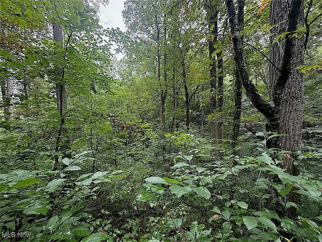 0 Paw Paw Rd, Lower Salem, OH 45745 - photo 13