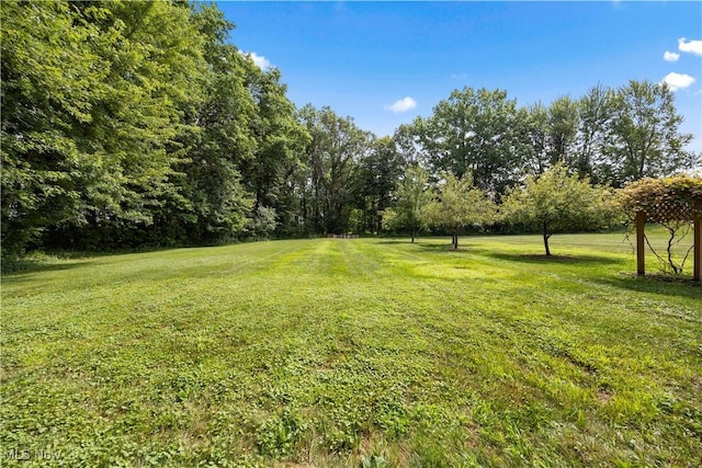 12691 Cissell Ln, Lagrange, OH 44050 - photo 42