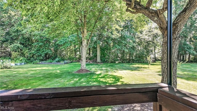 2212 Celestial Dr, Warren, OH 44484 - photo 14