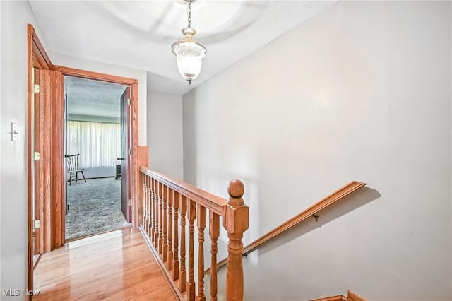 2212 Celestial Dr, Warren, OH 44484 - photo 34