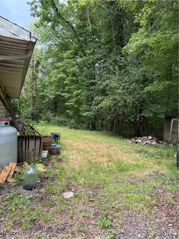 1811 State Route 46 S, Jefferson, OH 44047 - photo 6