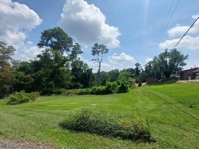 Cunningham Ln, Steubenville, OH 43953 - photo 4
