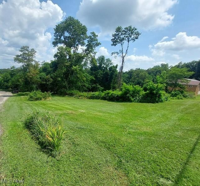 Cunningham Ln, Steubenville, OH 43953 - photo 7